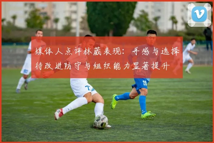 媒体人点评林葳表现：手感与选择待改进防守与组织能力显著提升